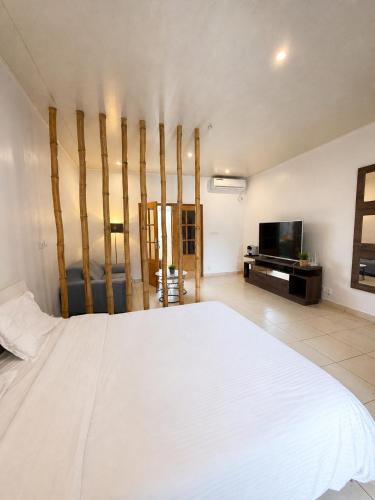 ein Schlafzimmer mit einem großen weißen Bett und einem Fernseher in der Unterkunft Garden Apartment Abidjan in Abidjan