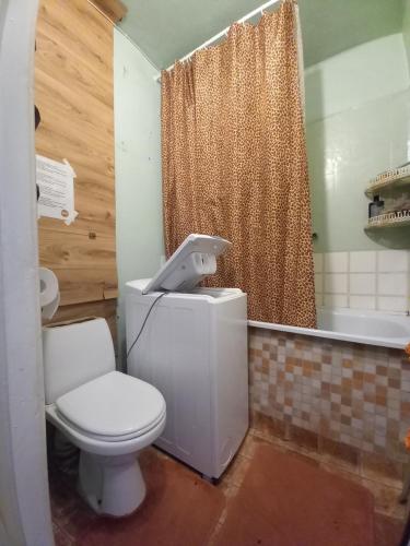 a bathroom with a toilet and a shower at Peatuspaik Paides in Paide