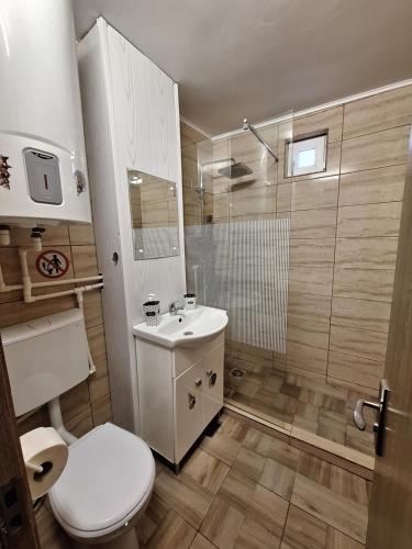 a bathroom with a toilet and a sink and a shower at L.M. in Sulina