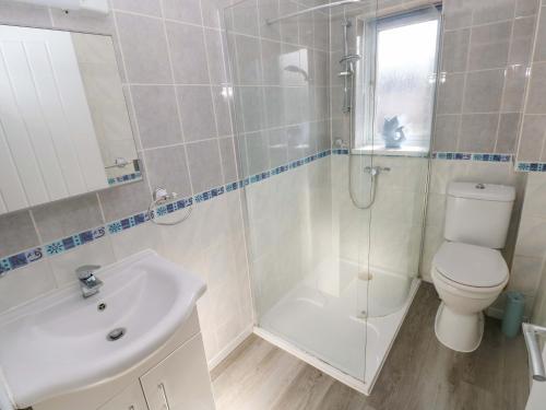a bathroom with a toilet and a shower and a sink at The Gower Gateway in Swansea