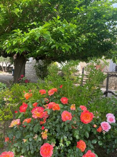 L'appart Thé - Charme apaisant au coeur des Alpilles