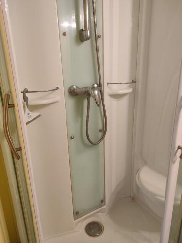 a shower with a glass door in a bathroom at Le Nid Douillet in Saint-Berthevin-sur-Vicoin