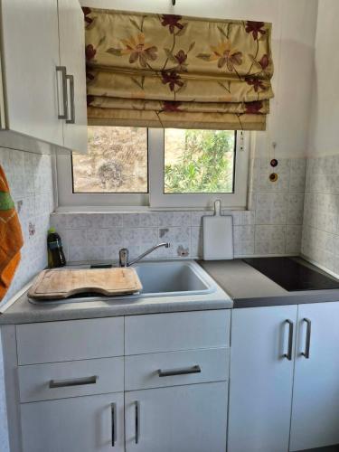 a kitchen with a sink and a window at Baso Hilltop Apartments in Argassi