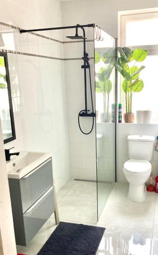 a bathroom with a shower with a toilet and a sink at Apartament Świętojański in Tolkmicko