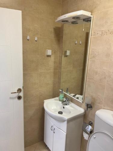 a bathroom with a sink and a mirror and a toilet at Apart Capital FISA Kamenari in Kamenari