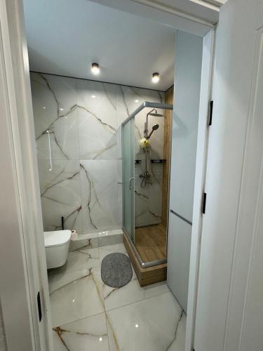 a bathroom with a shower and a sink and a toilet at ЖК Акварель 8 in Odesa