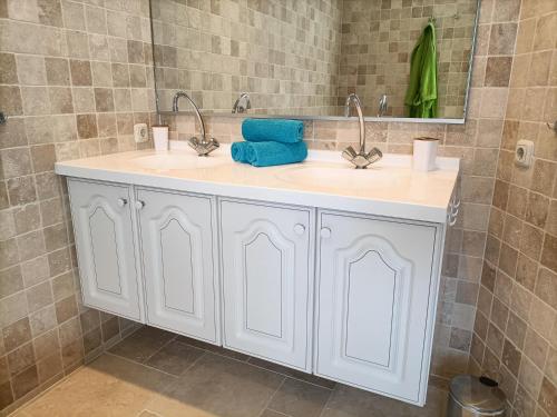 a bathroom with a white sink and a mirror at Bargerveenhuis in Weiteveen