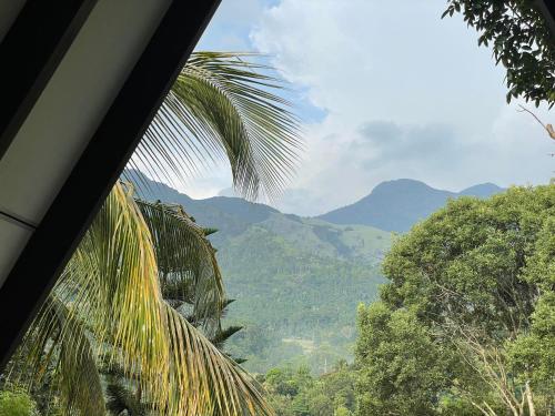 a palm tree with mountains in the background at Doranagala Holiday Cabin in Rattota