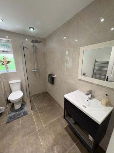 a bathroom with a toilet and a sink and a shower at Pippins in Tiverton