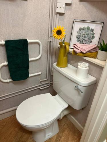 a bathroom with a toilet with a yellow vase on top of it at Lovely Comfortable Available in Hereford in Hereford