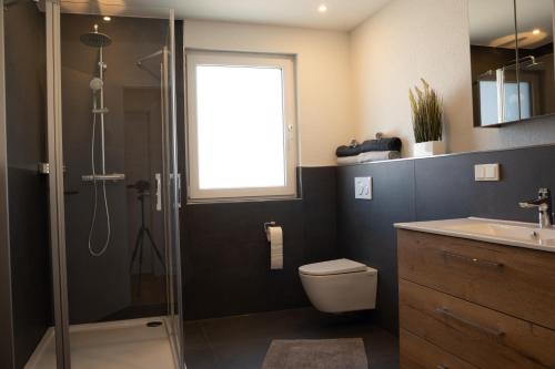 a bathroom with a shower and a toilet and a sink at Ferienwohnung Lindelskopf in Ludwigswinkel