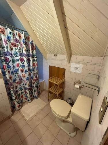 a bathroom with a toilet and a shower curtain at Rayen Mahuida - Las Trancas in Las Trancas