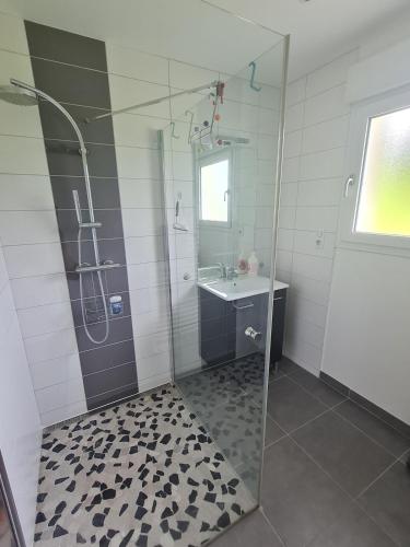 a bathroom with a shower and a sink at La Maison de choupette in Fougerolles
