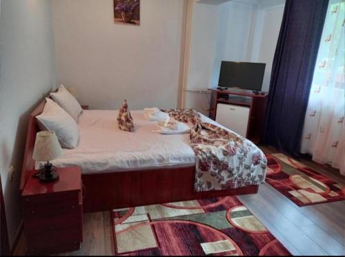 a bedroom with a bed with a table and a television at Hostel Elite in Băile Herculane