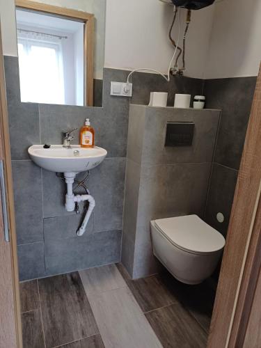 a bathroom with a sink and a toilet at Agroturystyka W Stadninie Koni in Maszyce