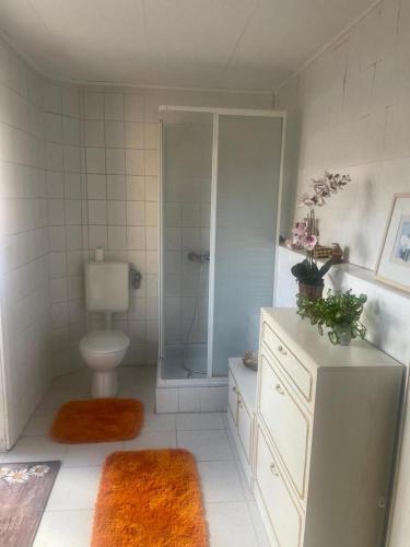 a bathroom with a shower and a toilet and a sink at Ferienwohnung Vogelnest in Templin