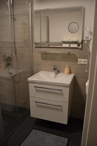 a bathroom with a sink and a shower at Aparthotel Sebastian in Erding