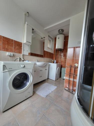 a laundry room with a washing machine and a sink at Vila Riverside Nikolaj in Niš