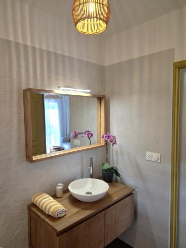 a bathroom with a sink and a mirror at Villa Cap Jaune - 30min Volcan - Rando et Confort 4 étoiles in Saint-Joseph