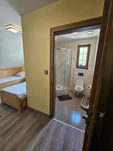 a room with a bathroom with a shower and a toilet at Agroturystyka Pod Sosnami w Atenach in Nowinka