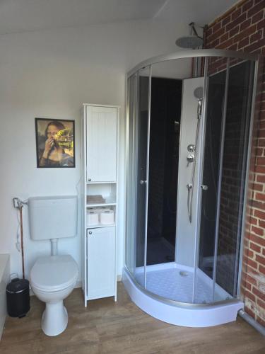 a bathroom with a shower and a toilet in a room at Tinyhaus, Bauwagen, Noltenius in Bülstedt