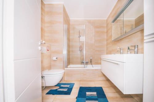 a bathroom with a toilet and a shower at Stunning 2 bed Mamer free parking in Mamer