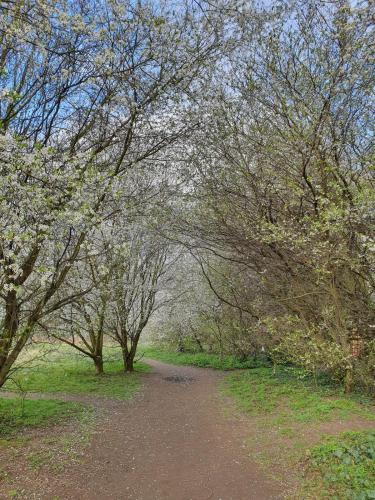 a dirt road in a field with trees at Stay at 128 in Walker Gate