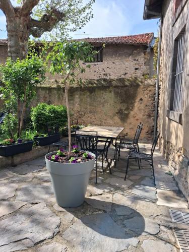 a potted tree in a large pot next to a table at Villa Toscane in Saint-Germain-Lembron