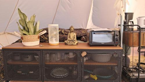 a table with a tv and a plant on it at Bell-tent Rosa met uitzicht in Hensbroek