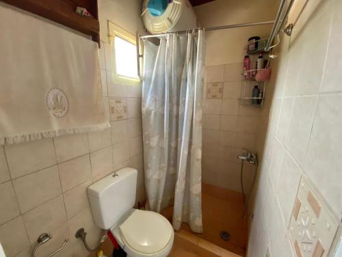 a small bathroom with a toilet and a shower at Boat House in Loutraki
