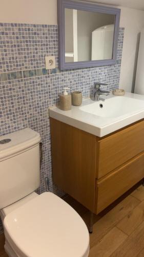a bathroom with a toilet and a sink and a mirror at Mini villa proche mer in Zonza