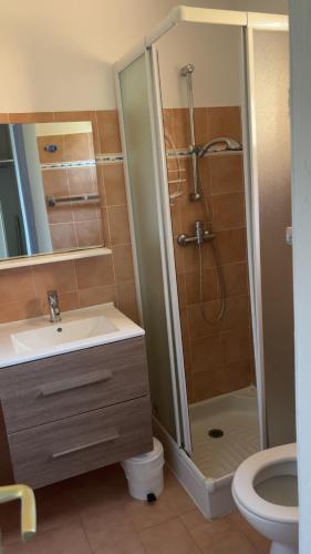 a bathroom with a shower and a sink and a toilet at Mini villa proche mer in Zonza