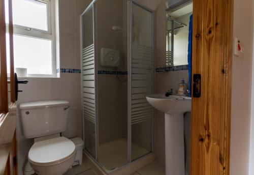 a bathroom with a shower and a toilet and a sink at Bray Head View 2 in Clynacartan