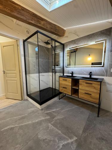 a bathroom with a shower and a sink and a mirror at T3climatisé Hyper centre 2 Chambres Terrasse in Sète