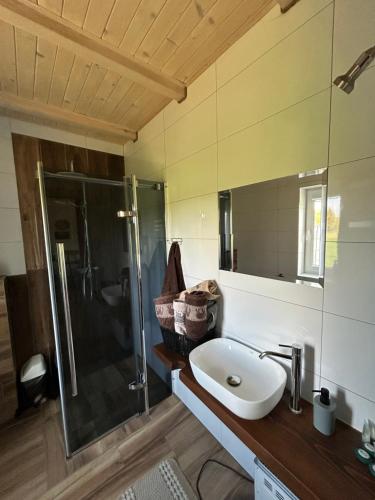 a bathroom with a sink and a shower at Noclegi Dąbek in Rymanów