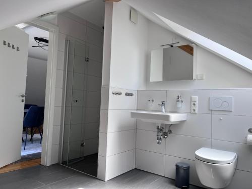 a bathroom with a sink and a toilet at Rooftop Apartment in Kornwestheim