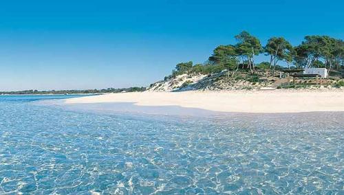 a view of a beach with trees in the distance at Residencia Santiago Mallorca in Cala Figuera