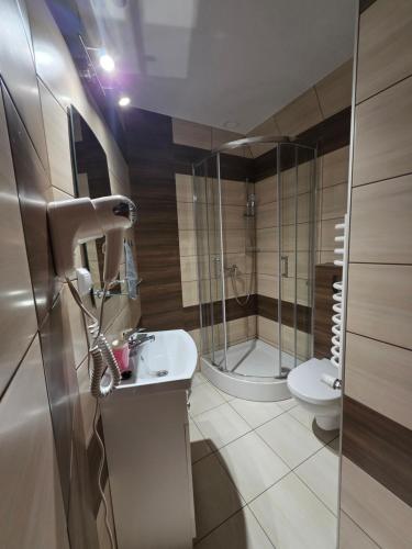 a bathroom with a shower and a sink and a toilet at Pensjonat Harmatówka - Blisko basenów termalnych in Bukowina Tatrzańska
