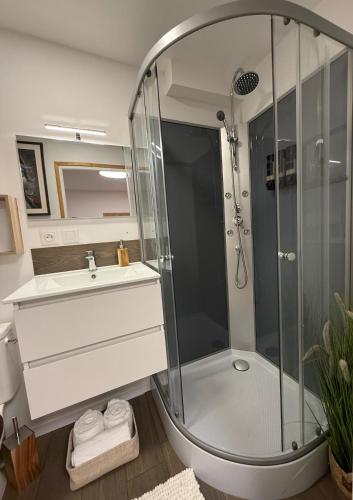 a bathroom with a shower and a sink at suite Jacuzzi terrasse privé parking in Caligny