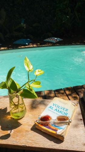 a flower in a vase next to a swimming pool at Casa Flor in Ilha de Boipeba