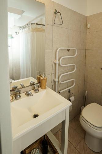 ein Badezimmer mit Waschbecken, Toilette und Spiegel in der Unterkunft DEPARTAMENTO cerca de CABA hasta 4 personas Parking Gratis Patio ideal familias estadias cortas por Trabajo Recitales Salud y Capacitaciones in Martínez