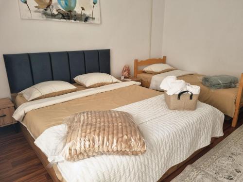 two beds sitting next to each other in a room at Artisan Center Apartment Peja in Peje