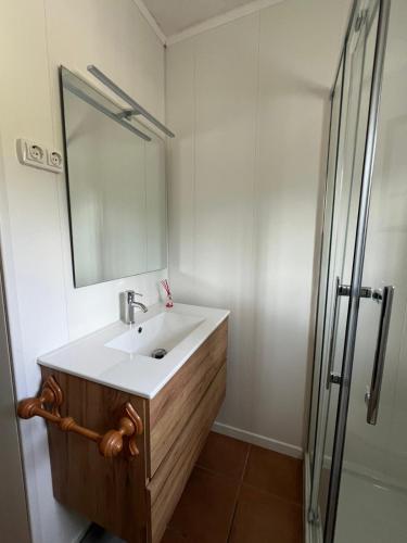 a bathroom with a sink and a mirror and a shower at Orgiva - La Alpujarra in Órgiva