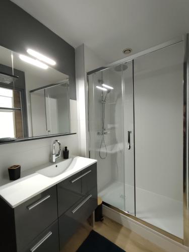 a bathroom with a sink and a shower at La Mansarde étoilée in Saint-Marcellin