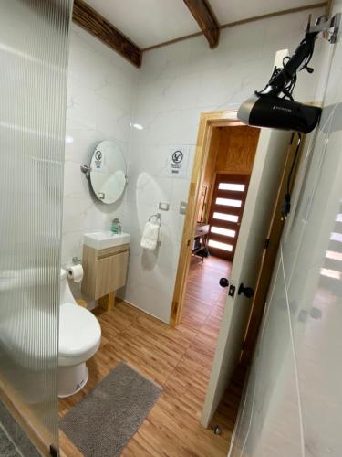 a bathroom with a toilet and a sink at Departamentos Eldestino in Puerto Puyuhuapi