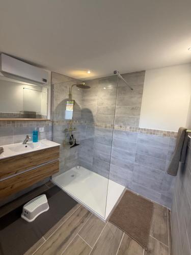 a bathroom with a shower and a sink at La Clef des Champs in Mecquignies