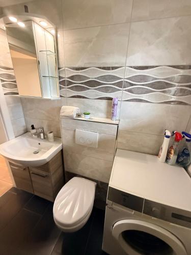 a small bathroom with a toilet and a sink at Ferienwohnung Winterzeit Thunersee&Mountainview in Thun
