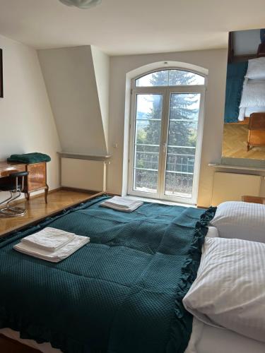 a large bed in a room with a large window at Apartament Krzemienna in Bielsko-Biała