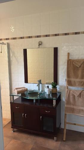 a bathroom with a sink and a mirror at la maison de montpon in Montpon-Ménestérol