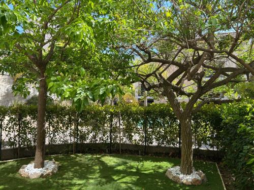 Secret Garden